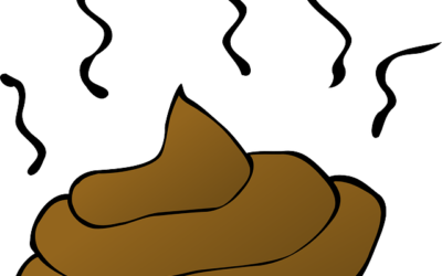 GROSS!  MY DOG EATS POOP