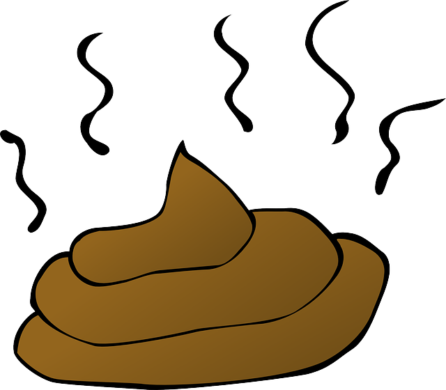 GROSS!  MY DOG EATS POOP